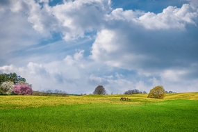 蓝天白云户外原野草地风景图片